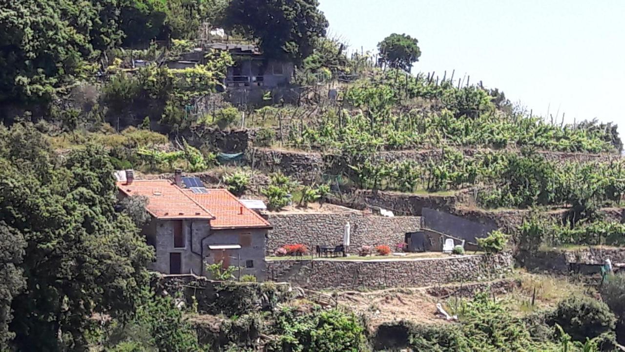 Villa Casa A Picco Sul Mare 5 Terre Campiglia  Exterior foto