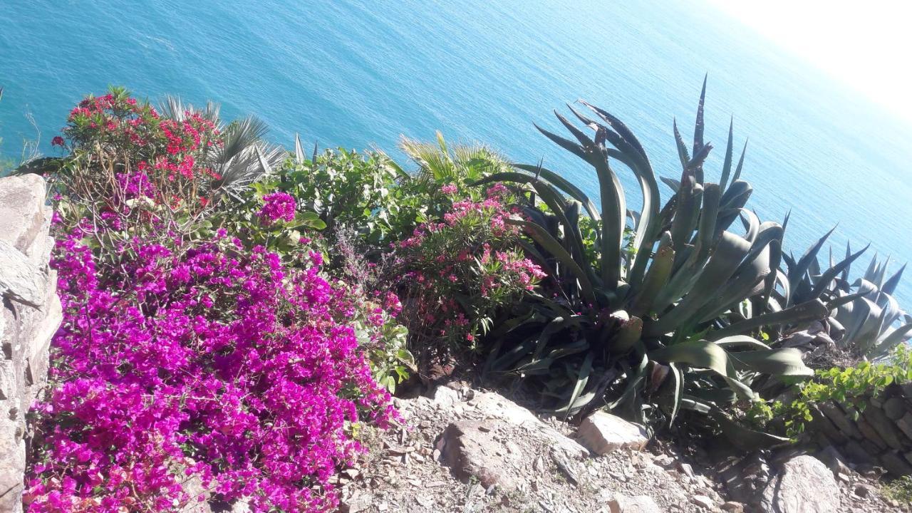 Villa Casa A Picco Sul Mare 5 Terre Campiglia  Exterior foto